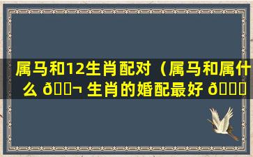 属马和12生肖配对（属马和属什么 🐬 生肖的婚配最好 🍀 ）